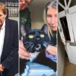 Former human rights lawyer, 79, sues after police ‘chop down door’ to seize her cat
