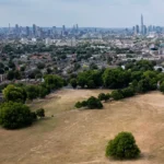 Drought declared for half of England – find out if your area is affected
