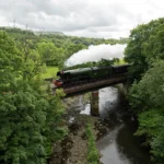 Network Rail bans steam trains from running after ‘Harry Potter’ train sparks wildfire