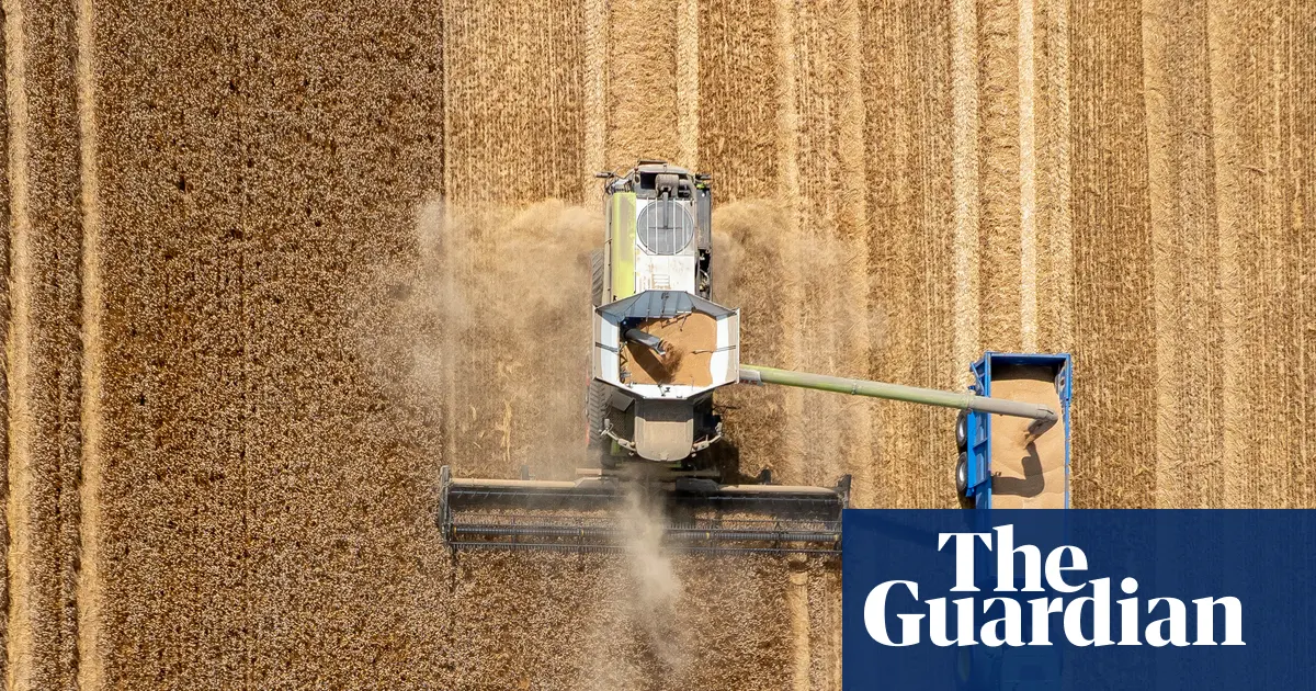 Adapting to global heating: which UK public services are struggling in hot weather?