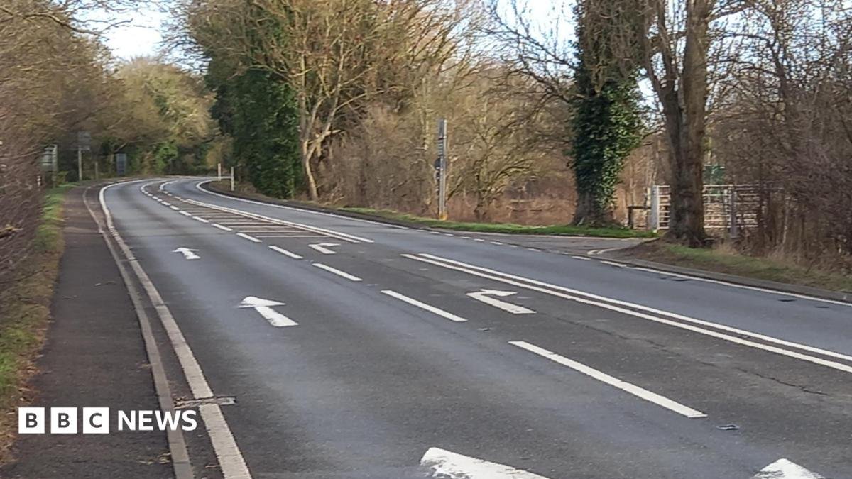 Man dies in crash after police pursuit