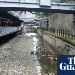 All bodies of water in England polluted with toxic chemicals, official data shows