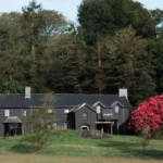 Michelin-star restaurant regains top hygiene score after previous one-star rating