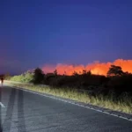 A31 closed as firefighters tackle major New Forest blaze sparked by vehicle fire