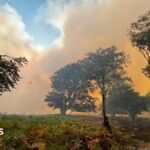Crews tackle heathland fire that spread from van