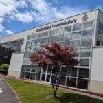 Senior detective under investigation over use of AI