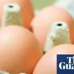 One person dead and more than 200 ill in UK salmonella outbreak