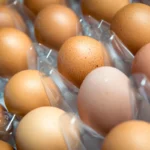 Mapped: Worst regions hit by deadly UK salmonella outbreak as cases rise