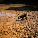 Minister urges Britons to stock up on food and water after El Nino extreme weather warning