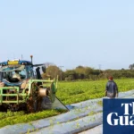 ‘Astronomical’ fuel price surge hits farmers in UK and US