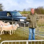 Sheep stolen from Clarkson’s Diddly Squat Farm