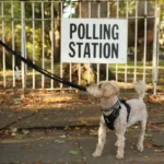 Holborn and St Pancras by-election live: Polanski eyes upset in Starmer’s old seat as central London goes to the polls