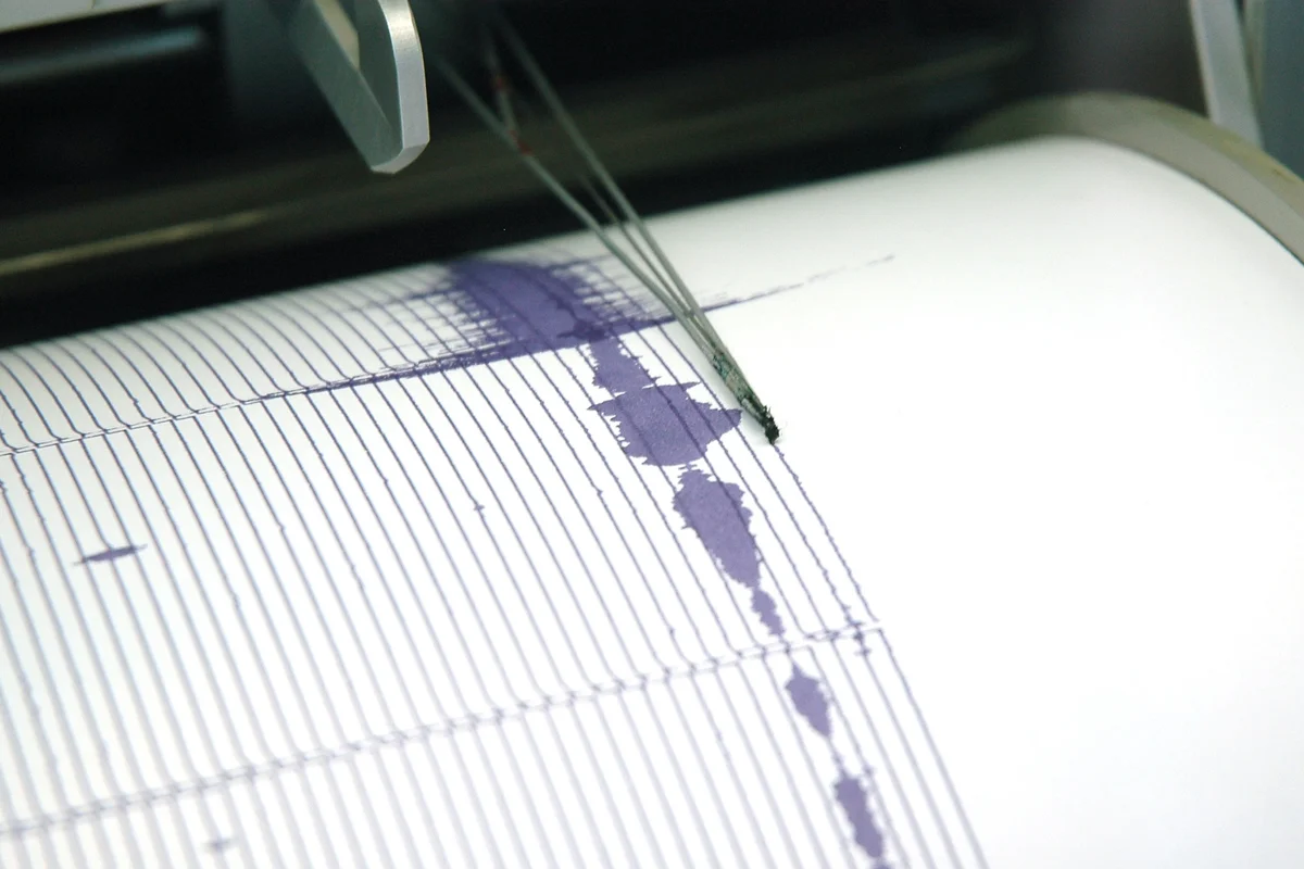 NHS radiographer struck off over earthquake insult aimed at admin worker